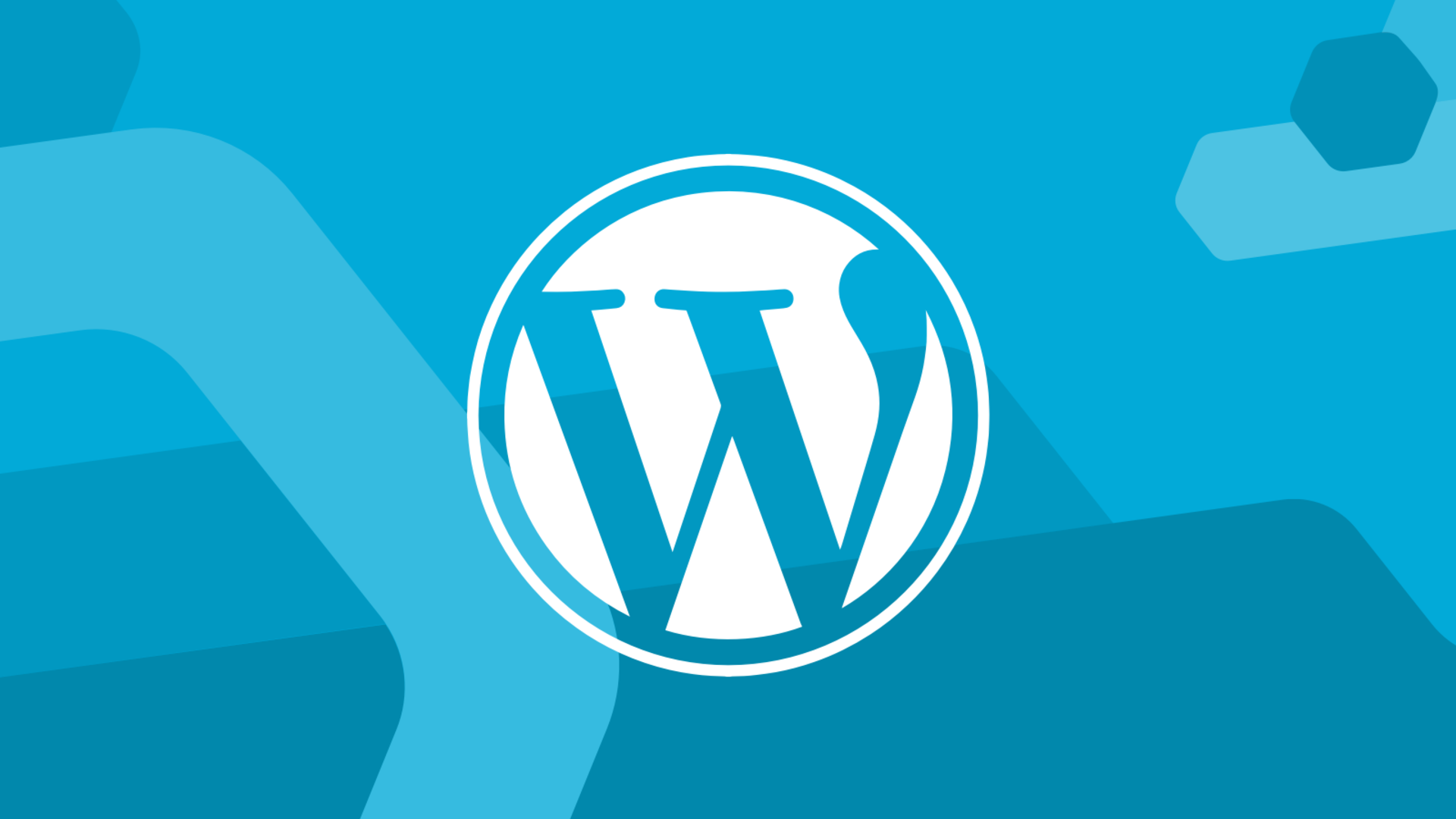 Меняем домен сайта в WordPress: полное руководство Меняем домен сайта в WordPress: полное руководство